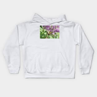 Yellow Swallowtail Butterfly and Purple Flowers Kids Hoodie